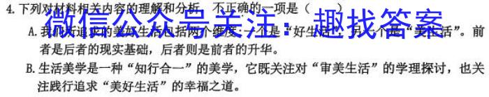 陕西省2023年初中学业水平监测试题（三）A版语文