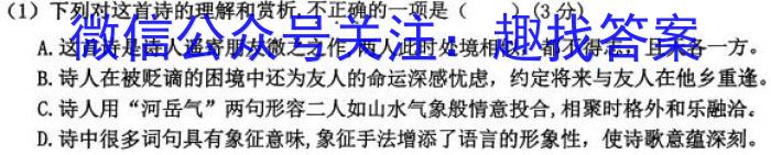 2023年湖南新高考教学教研联盟高二5月联考语文
