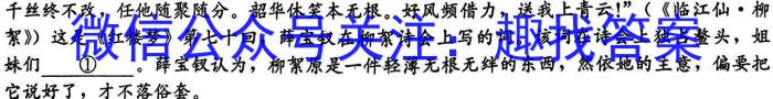 XCS2023年河南省第一次中招模拟考试试卷语文