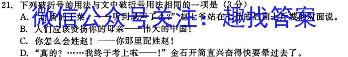 安徽省利辛县2023年九年级4月联考语文