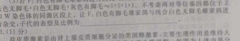 2023年普通高等学校招生全国统一考试 高考模拟试卷(三)(四)生物
