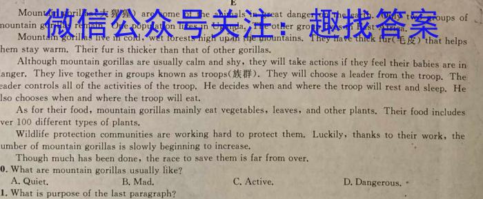 国浩教育 2023届3+3+3高考备考诊断性联考 专项训练(贵州版)(二)英语