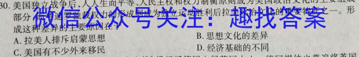 2023届云南省高三考试卷4月联考(23-380C)历史