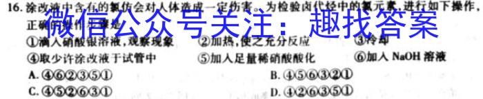 2023年陕西省初中学业水平考试六A化学