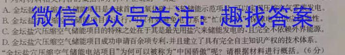 XCS2023年河南省第一次中招模拟考试试卷语文