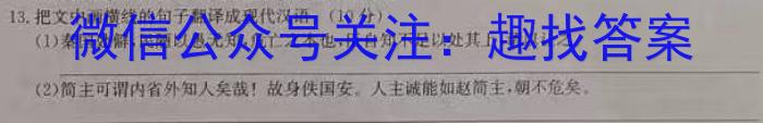 2023年河北省初中毕业生学业考试模拟(五)语文