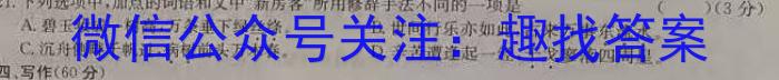 铜陵市2023年新课标老高考高三模拟考试语文