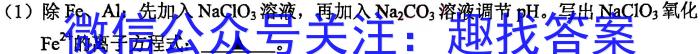 学林教育 2023年陕西省初中学业水平考试·全真模拟卷(五)化学