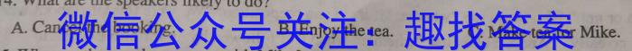 2025届河北大联考高一年级4月联考（005A·HEB）英语