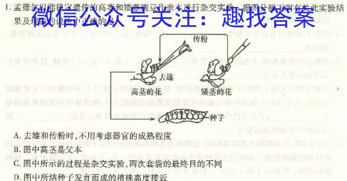 NT2023届普通高等学校招生全国统一考试模拟试卷(一)(新高考)生物