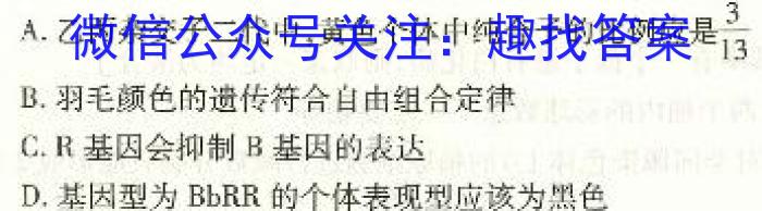 衡水金卷 2022-2023下学期高二期中考试(新教材·月考卷)生物