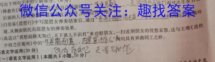 楚雄州中小学2023年高二下学期期中教育学业质量监测（23-375B）语文