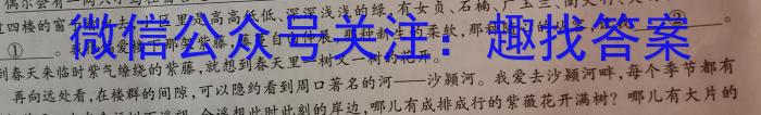 2023届柳州高中/南宁三中高三(4月)联考语文