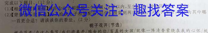 河南省封丘县2023年九年级“一模”测试卷语文