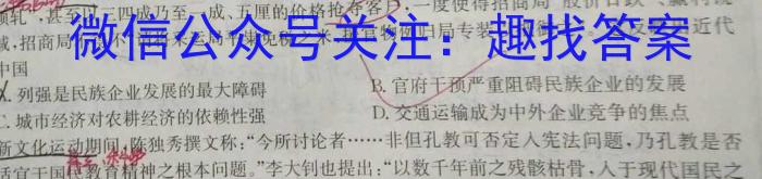 安徽省2023年八年级阶段性质量评估检测卷历史