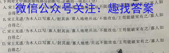 2023届普通高等学校招生全国统一考试 4月青桐鸣大联考(高三)(老高考)语文