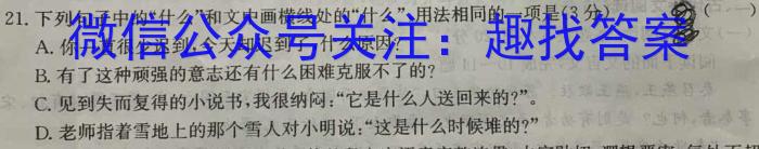 2023届九师联盟高三年级4月质量检测（新高考-河北）语文
