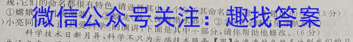 湖南省部分学校2023年4月高三模拟考试语文