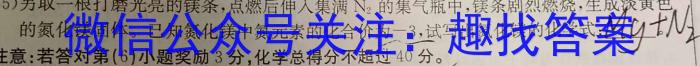 江西省永修县2023初中教学质量阶段性诊断（平台搜索：赣北学考联盟）化学
