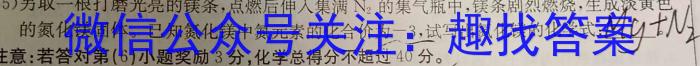 安徽第一卷·2022-2023学年安徽省七年级下学期阶段性质量监测(五)化学