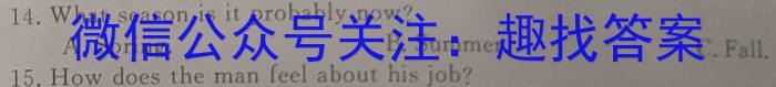 2023届柳州高中/南宁三中高三(4月)联考英语