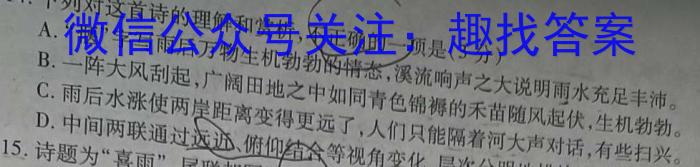 贵州省2024~2023学年下学期高二期中考试试卷(23-430B)语文