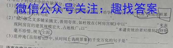 天一大联考 2023年普通高等学校招生全国统一考试诊断卷(A卷)语文