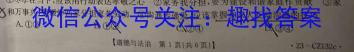 师大名师金卷 2023年陕西省初中学业水平考试模拟卷(四)地理.