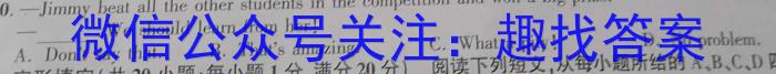 2023届金学导航·模拟卷(十)·D区专用英语