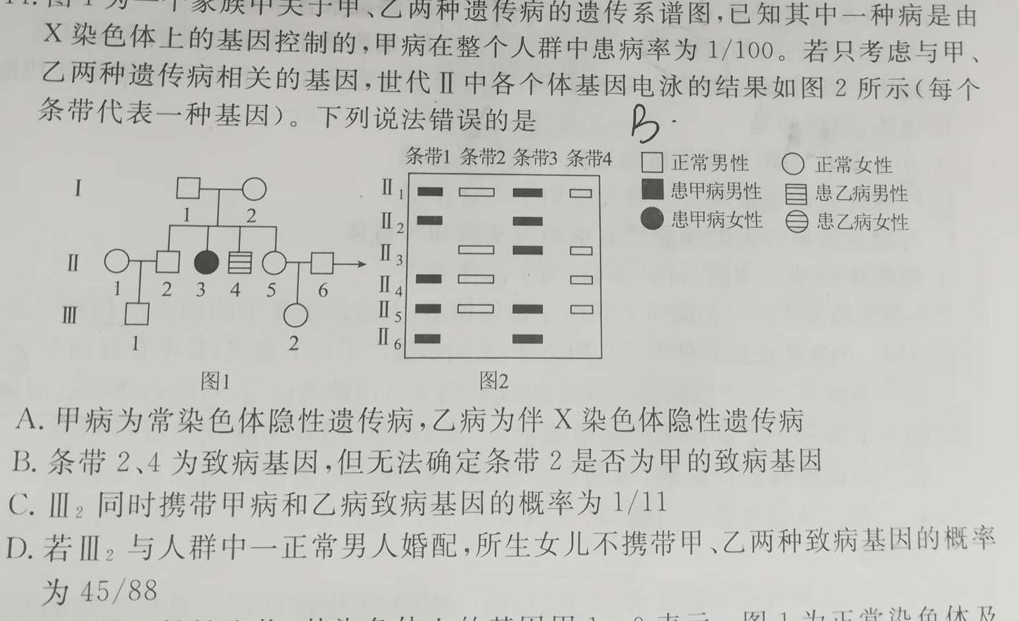 2023年普通高等学校招生全国统一考试仿真模拟卷(一)生物