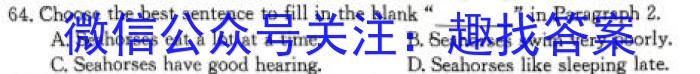 九师联盟 2022-2023学年高三4月质量检测(X/L)英语