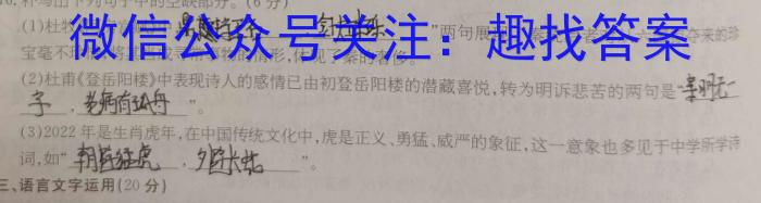 2023届金学导航·模拟卷(十)·D区专用语文