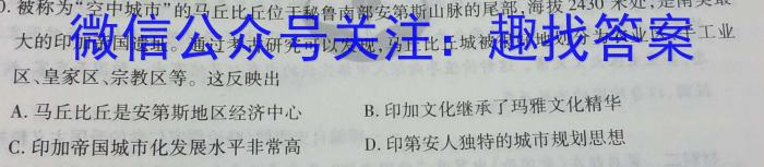 2023年陕西省初中学业水平考试模拟卷（A版）历史