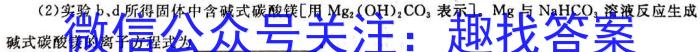 中考模拟压轴系列 2023年河北省中考适应性模拟检测(精练一)化学