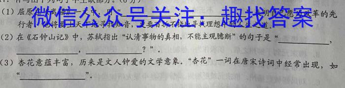 湘教考苑 2023年高考模拟试卷(试题卷五)语文