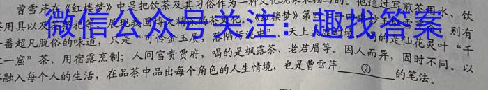 陕西省2023年八年级期中教学质量检测（23-CZ162b）语文