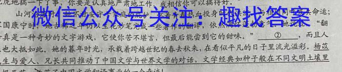 江淮名卷·2023年省城名校中考调研（三）语文