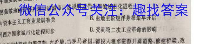 安徽省2022-2023学年度七年级下学期期中综合评估（6LR）历史