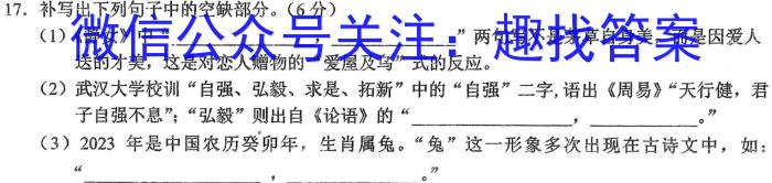 2023年高考临门·名师解密卷(★)语文