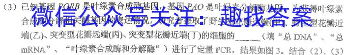 邵阳市二中2023年高一上学期期中考试生物