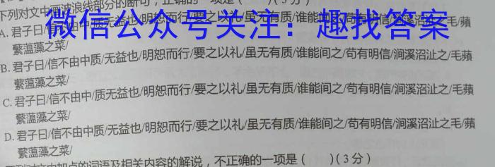 师大名师金卷2023年陕西省初中学业水平考试押题卷语文