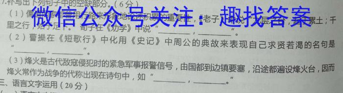 耀正文化(湖南四大名校联合编审)·2023届名校名师模拟卷(八)语文