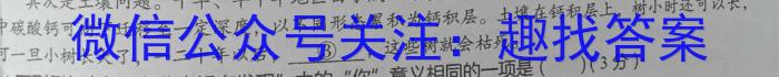 龙岩市2023年高中毕业班第三次教学质量检测语文