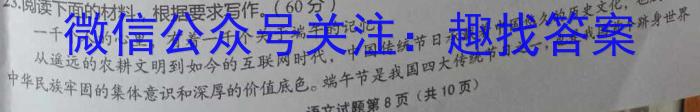江西省2024-2023学年度七年级下学期期中综合评估（6LR）语文