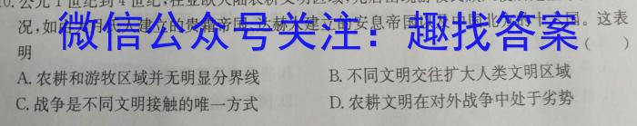 安徽省2022-2023学年九年级下学期期中教学质量调研历史