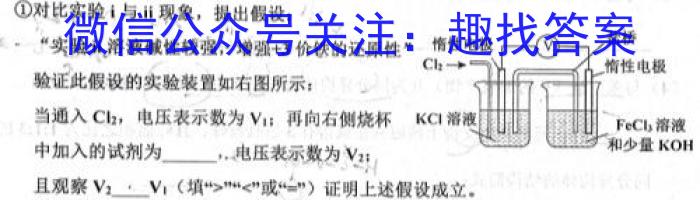 陕西省2023年中考原创诊断试题（三）化学