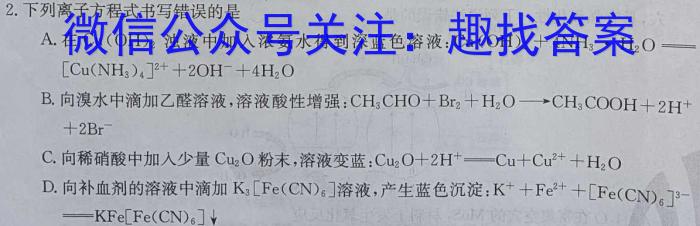 2024届广东高二年级4月联考化学