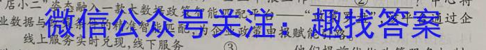 2023年河北大联考高二年级下学期期中考试（204B·HEB）语文