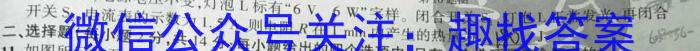 2023届中考导航总复习·模拟·冲刺卷(二)2l物理