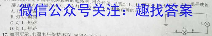 2023年湖南省普通高中学业水平合格性考试仿真试卷(专家版五)q物理